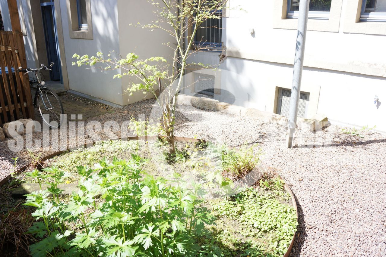 Gemeinschaftsgarten