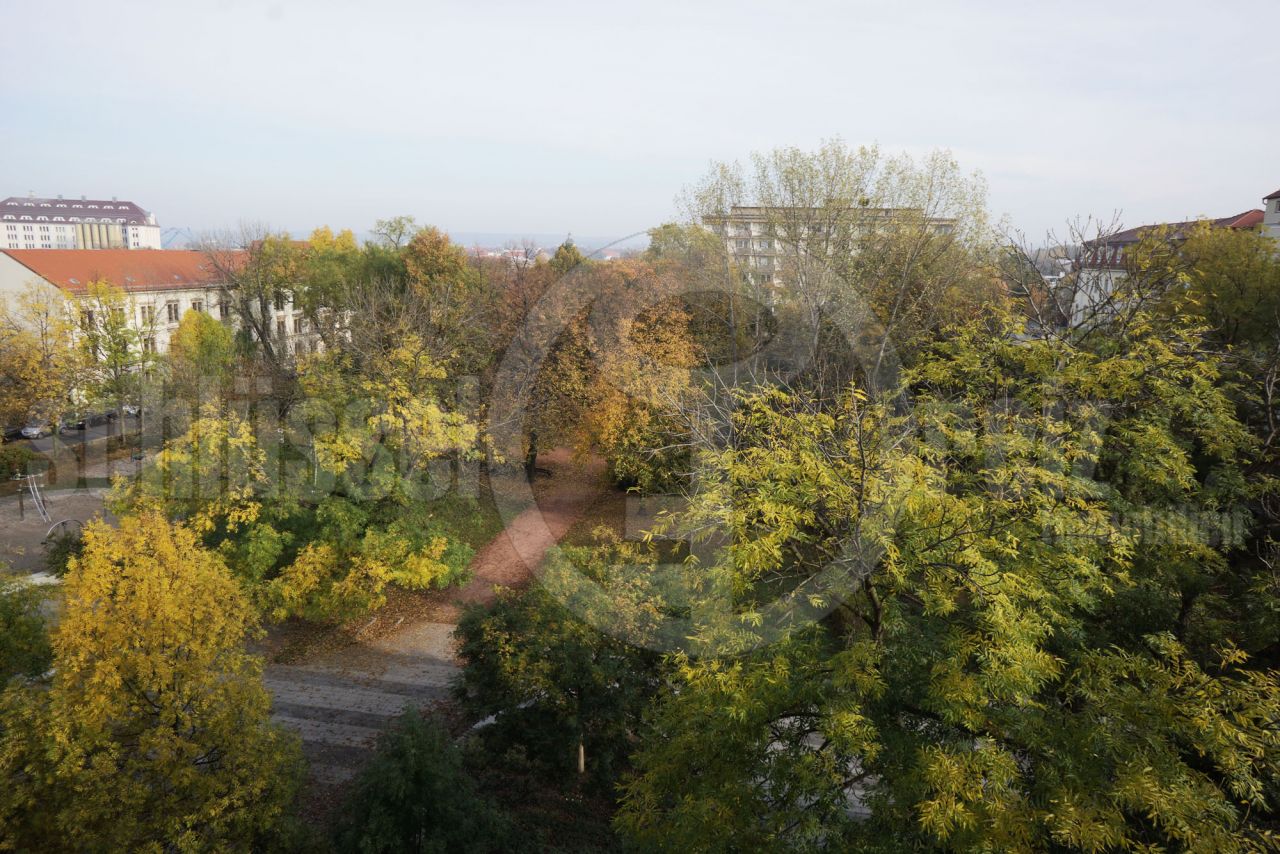 Ausblick von der Küche in den Park Ausblick von der Küche in den Park