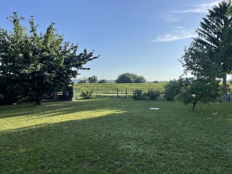 Gemeinschaftsgarten Gemeinschaftsgarten