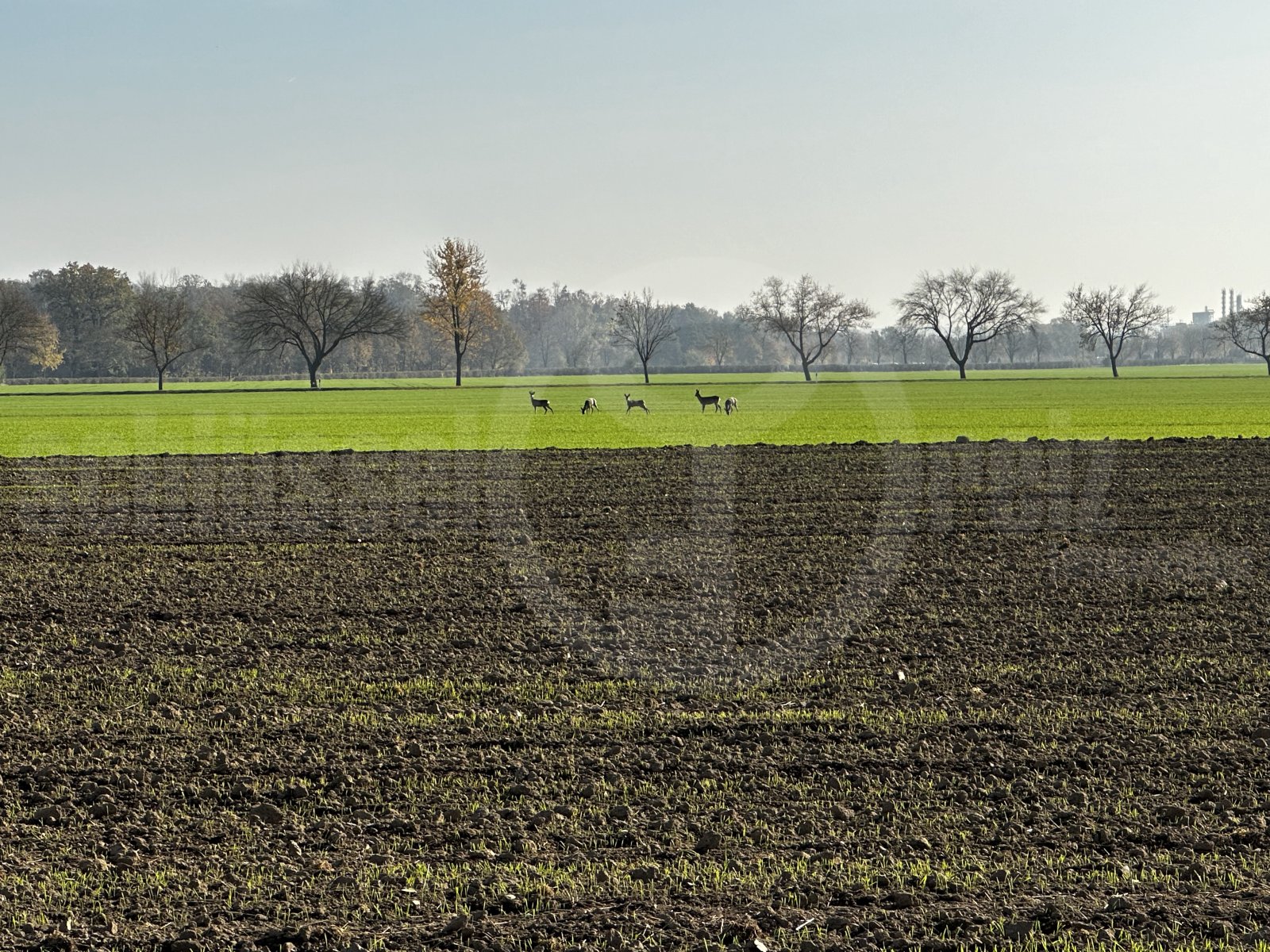 Umgebung/Ausblick