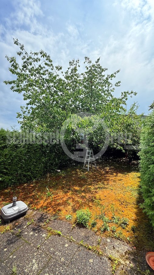 Terrasse / Garten