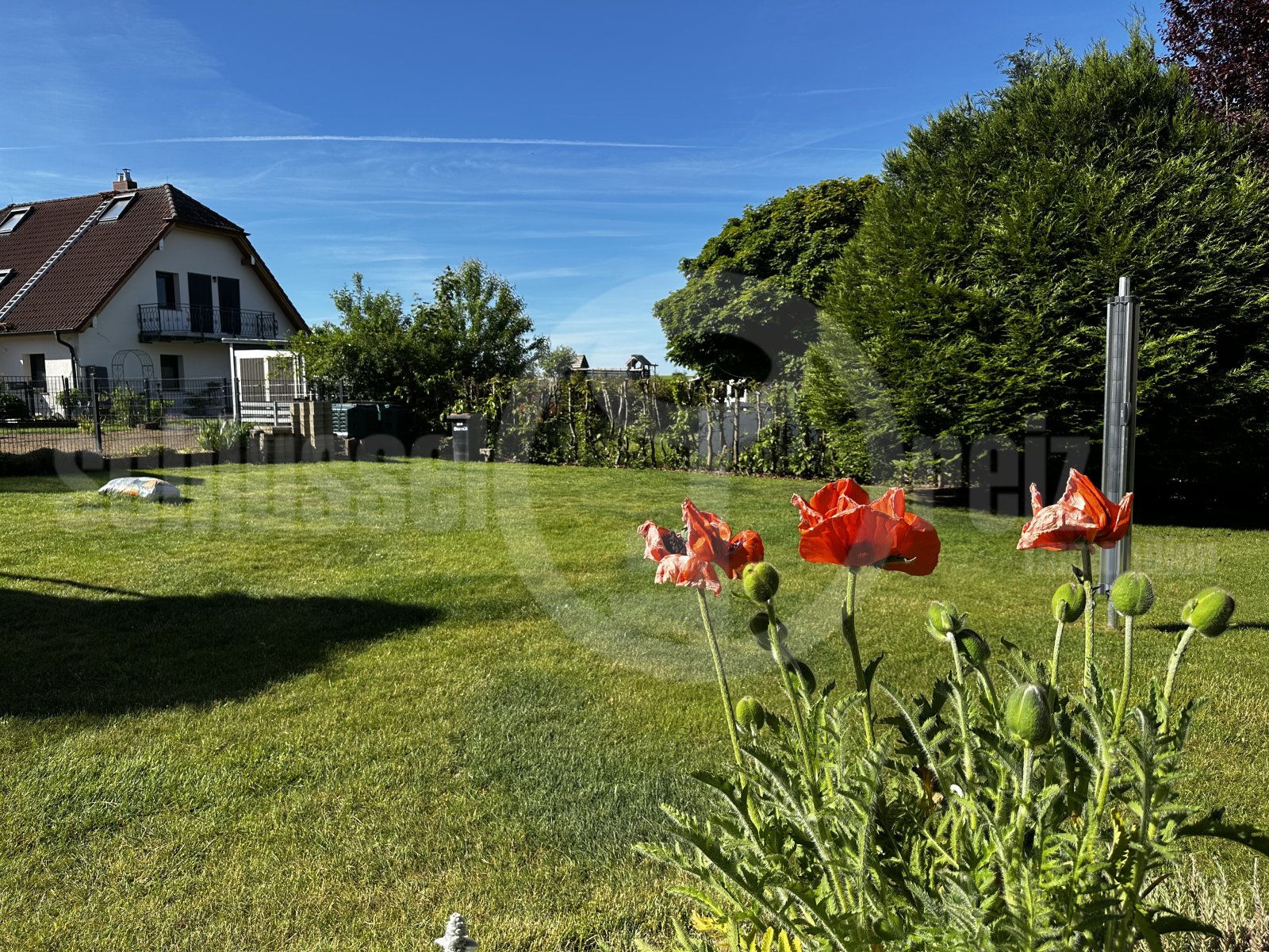 Weitläufiger Garten mit Nutzflächenpotenzial Weitläufiger Garten mit Nutzflächenpotenzial