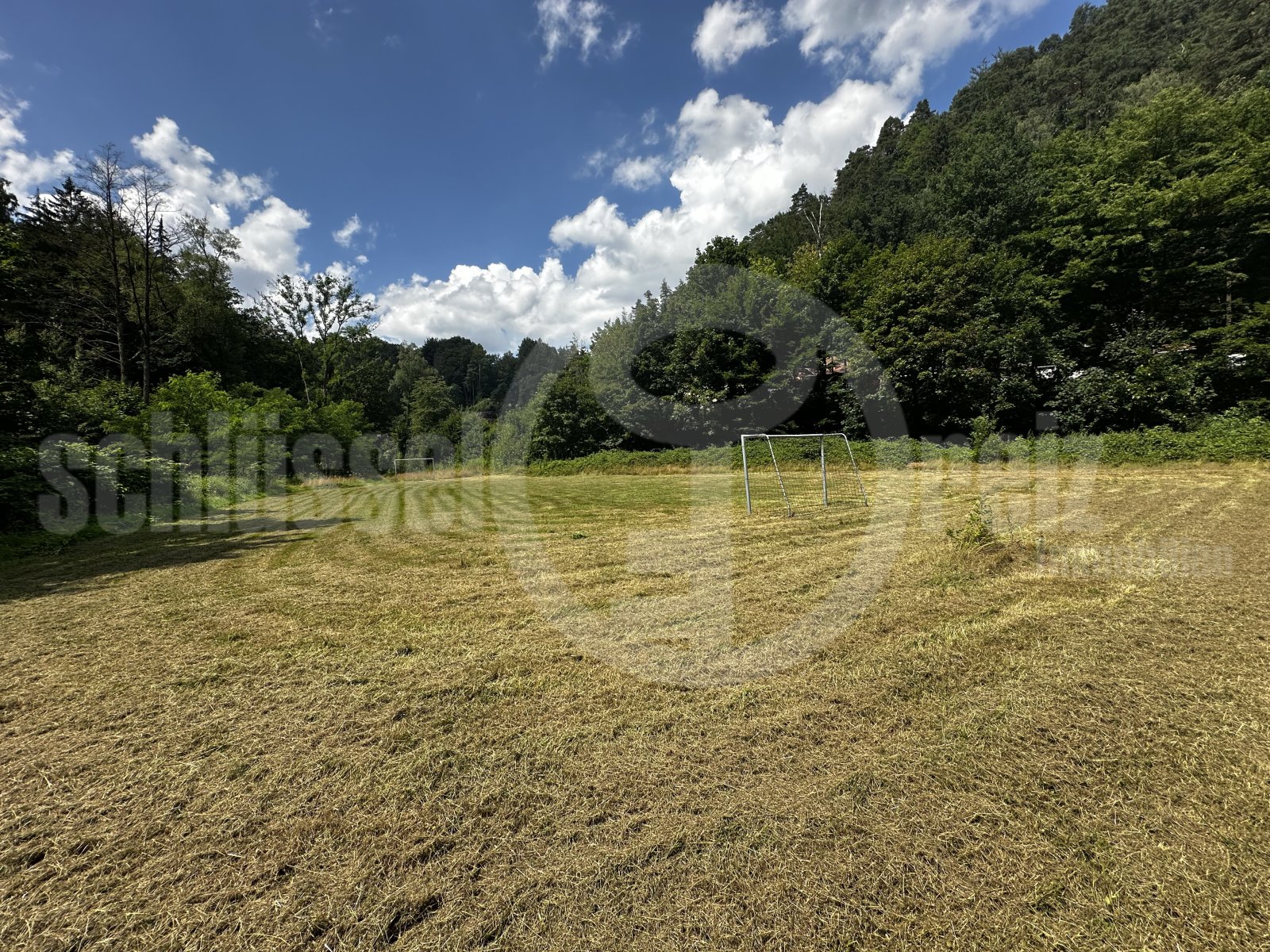 Fußballwiese / weitläufiges Grundstück Fußballwiese / weitläufiges Grundstück