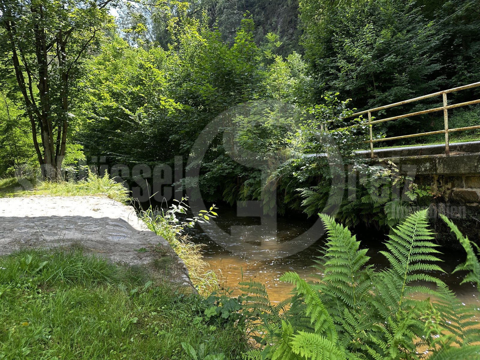 romantischer Bachlauf hinter dem Haus romantischer Bachlauf hinter dem Haus